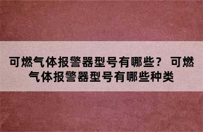 可燃气体报警器型号有哪些？ 可燃气体报警器型号有哪些种类